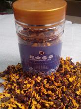 【昆侖雪菊買一送三】最新最全昆侖雪菊買一送三 產品參考信息