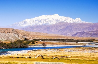 昆侖高原慕士塔格峰沼澤濕地