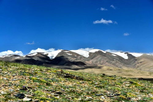 昆侖山口 探秘昆侖的雄渾與神秘